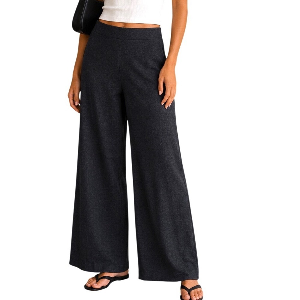 Eileen Fisher Women Charcoal Gray Boiled Wool Wide Leg Crop Pants Extra Small XS